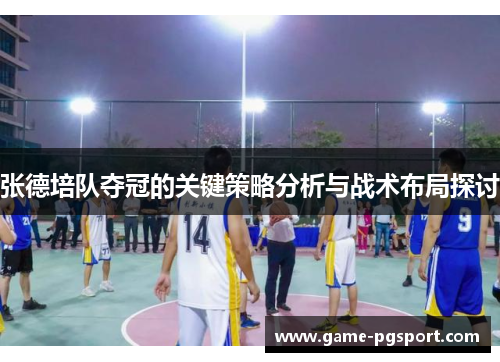张德培队夺冠的关键策略分析与战术布局探讨