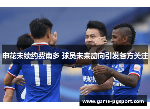 申花未续约费南多 球员未来动向引发各方关注