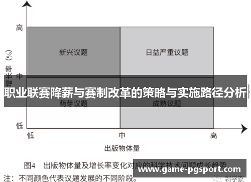 职业联赛降薪与赛制改革的策略与实施路径分析