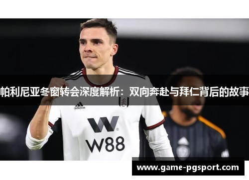 帕利尼亚冬窗转会深度解析：双向奔赴与拜仁背后的故事