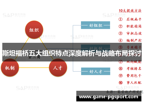 斯坦福桥五大组织特点深度解析与战略布局探讨